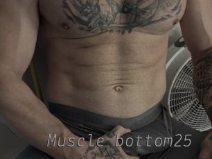 Muscle_bottom25