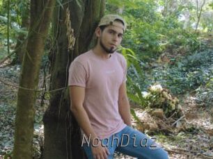 NoahDiaz