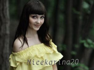 Nicekarina20