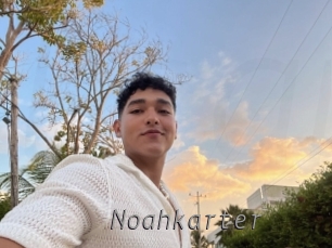 Noahkarter