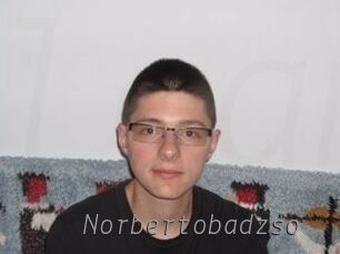 Norbertobadzso