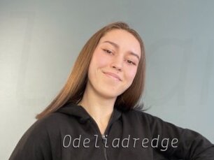 Odeliadredge