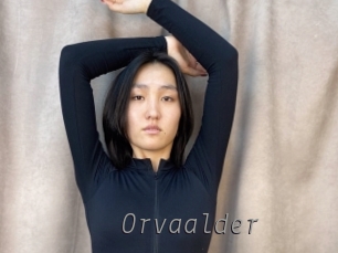 orvaalder Livestrip Cams
