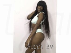 PUCCA_69