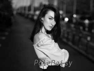 PaleDaisy