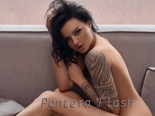 Pantera_Flash