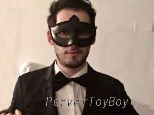 PerverToyBoy