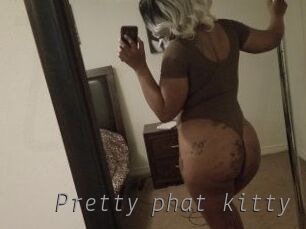 Pretty_phat_kitty