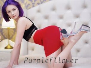 Purplefllower