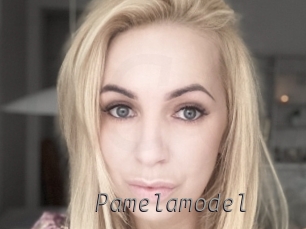 Pamelamodel