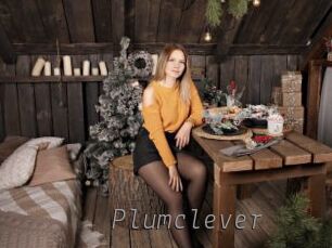 Plumclever