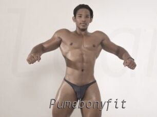 Pumebonyfit