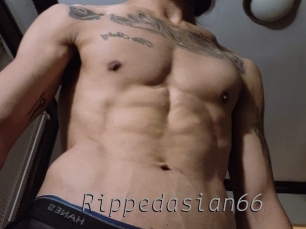 Rippedasian66