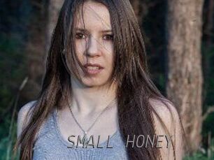 SMALL_HONEY