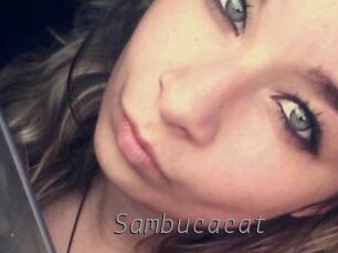 Sambucacat