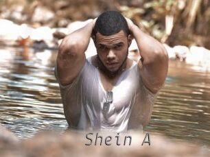 Shein_A