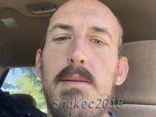 Snakec2018