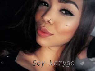 Soy_karygo