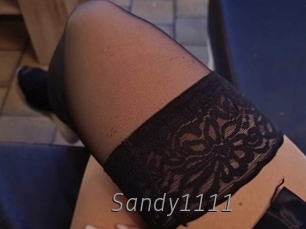 Sandy1111