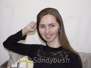 Sandybush