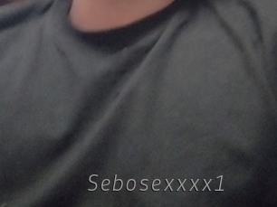 Sebosexxxx1