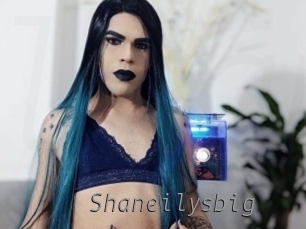 Shaneilysbig