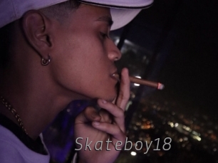 Skateboy18