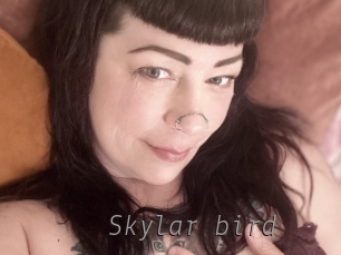 Skylar_bird