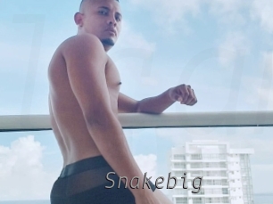 Snakebig