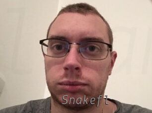 Snakefl