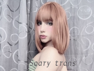 Soary_trans