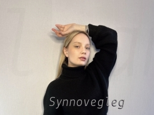 Synnovegleg