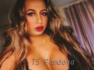 TS_Pandora