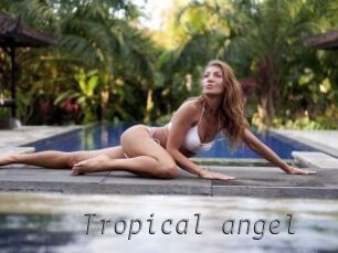 Tropical_angel