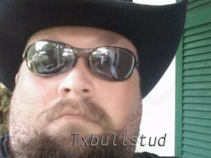 Txbullstud