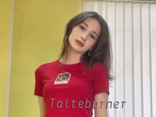 Taiteburner