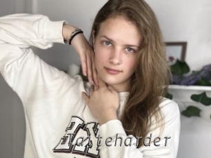 Taiteharder