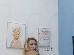 The_cat