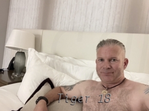 Tiger_18