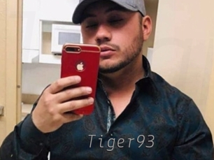 Tiger93