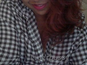 Tigerpussy