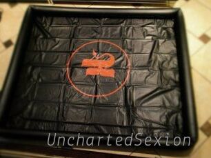 UnchartedSexion