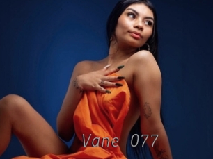 Vane_077