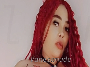 Vanesamude