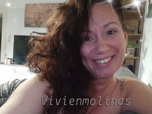 Vivienmolinas
