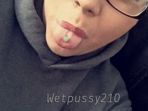 Wetpussy210