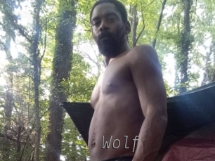 Wolf