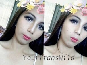 YourTransWild