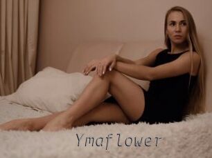 Ymaflower