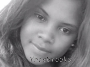 Ynesbrooks